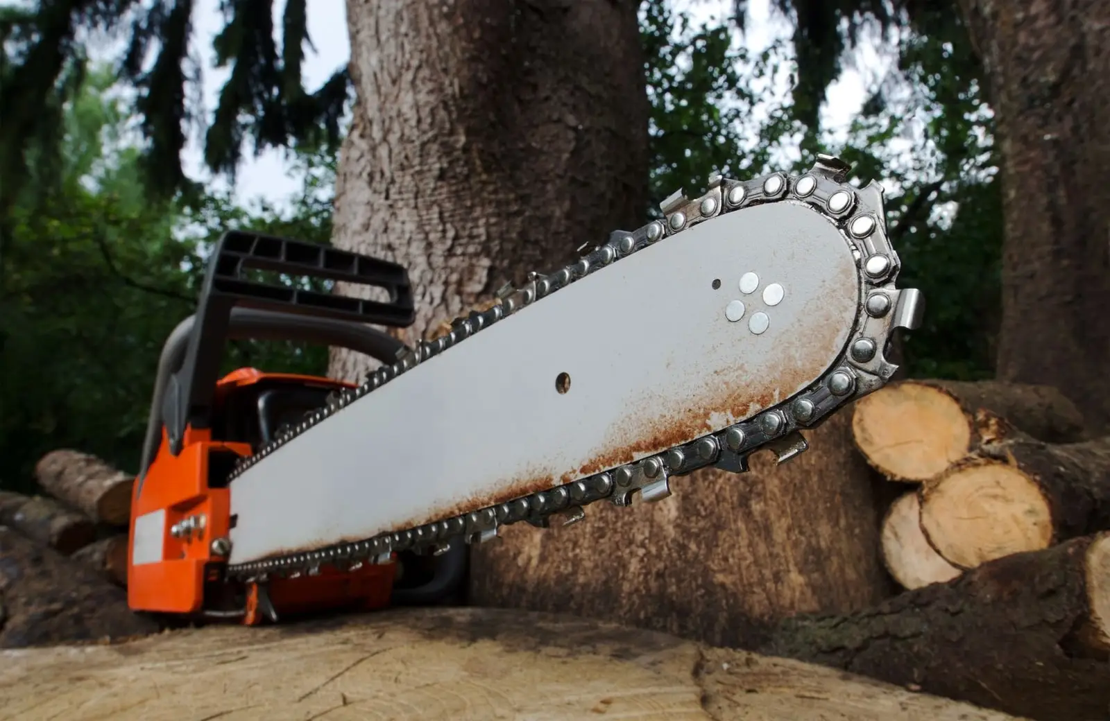 A chainsaw resting beside freshly cut log rounds after a tree job
